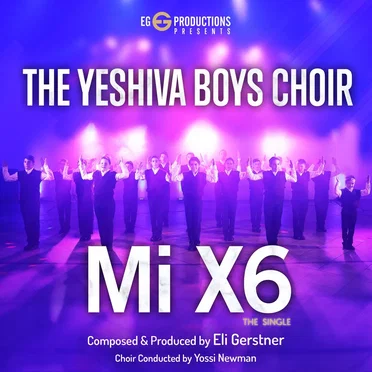 Mi X6