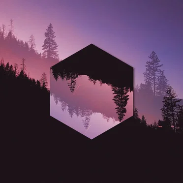 August Leftovers by Rosentwig - album cover