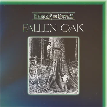 Fallen Oak by Hewer of Caves - album cover