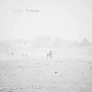 Memory Flowers by Memory Flowers - album cover