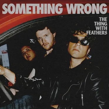 The Thing With Feathers