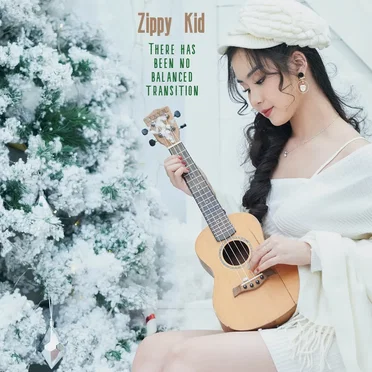 There Has Been No Balanced Transition