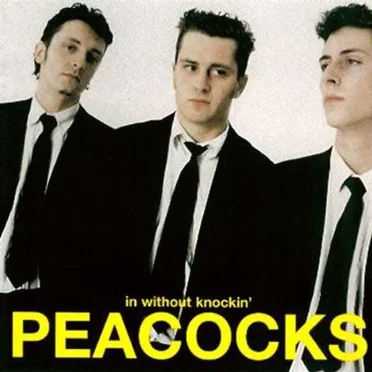 In Without Knockin’ by The Peacocks - album cover