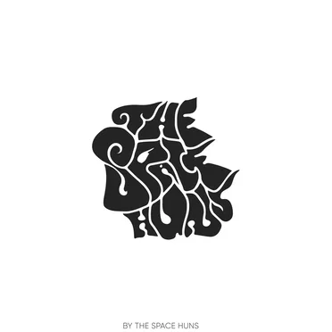 The Space Huns by The Space Huns - album cover