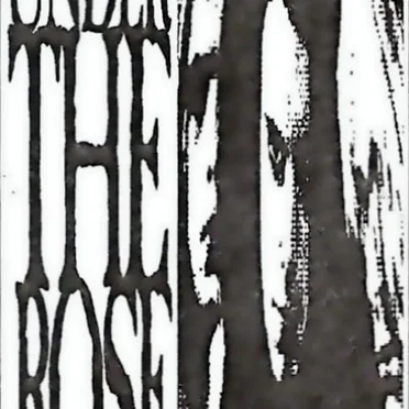 Under the Rose