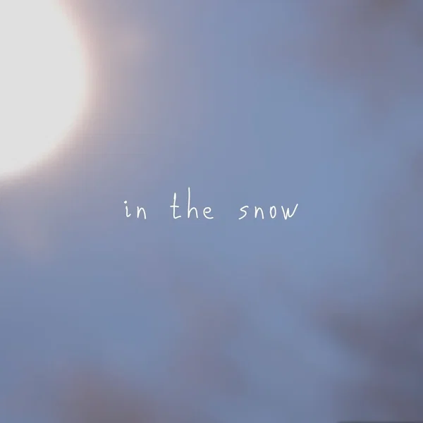 In the Snow