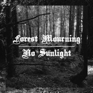 No Sunlight