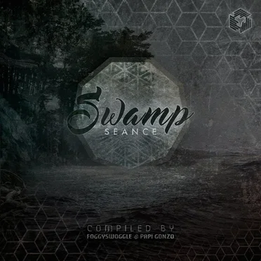 Swamp Seance by Various Artists - album cover