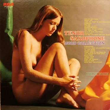 Tenor Saxophone Mood Collection by レスター・ポール楽団 - album cover