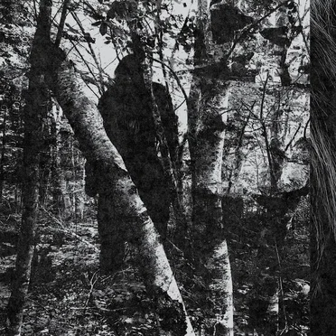 There Is Something Evil Out There.