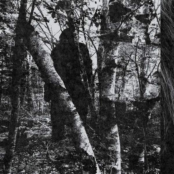 There Is Something Evil Out There.