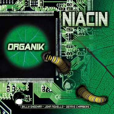 Organik by Niacin - album cover