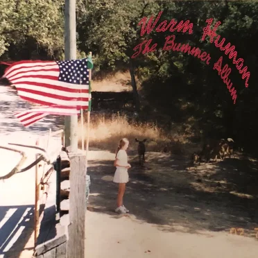 The Bummer Album