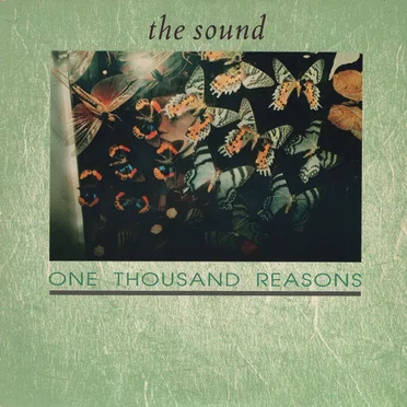 One Thousand Reasons by The Sound - album cover