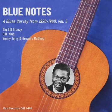 Blue Notes – A Blues Survey from 1920-1960, vol. 5 - Single
