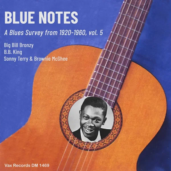 Blue Notes – A Blues Survey from 1920-1960, vol. 5 - Single