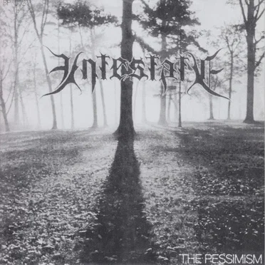 The Pessimism / In the Rosecolored Time… by Intestate - album cover