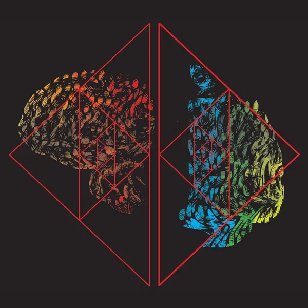 Collection of Lost Thoughts 2012-2019