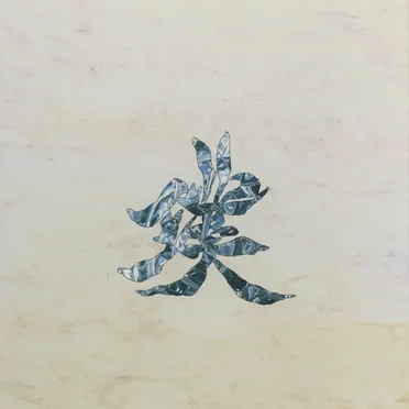 璞
