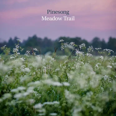 Meadow Trail by Pinesong - album cover