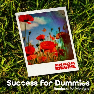 Success for Dummies