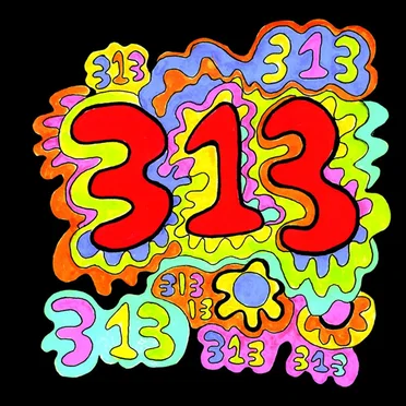 313