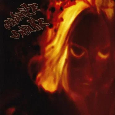 Midnite Snake
