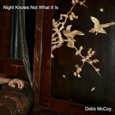 Night Knows Not What It Is (phone recording)