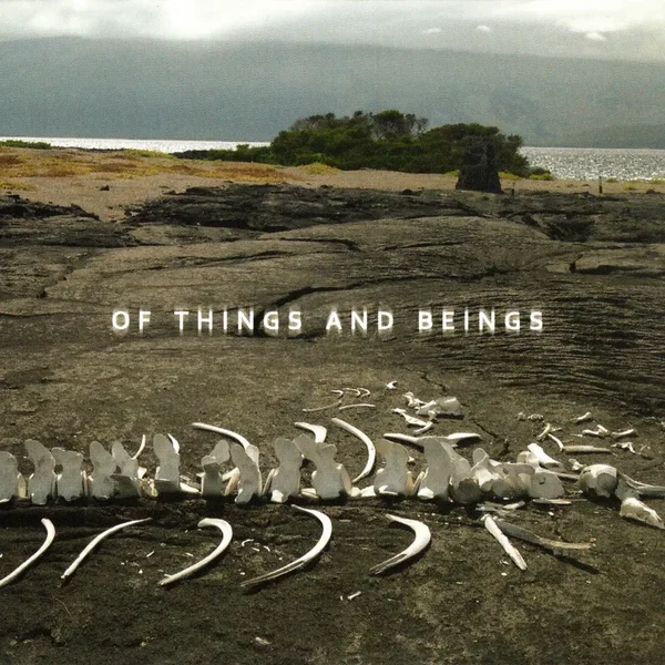 Of Things and Beings
