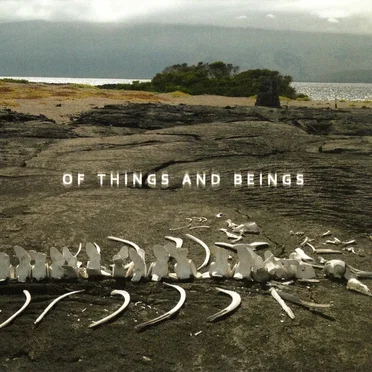 Of Things and Beings