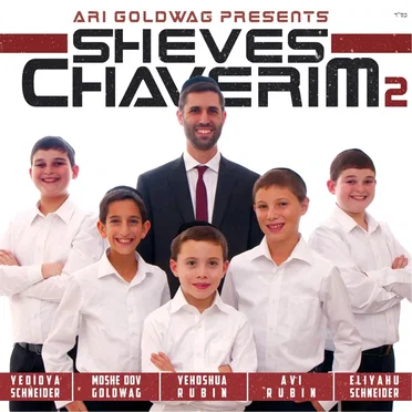 Sheves Chaverim 2 by Sheves Chaverim - album cover