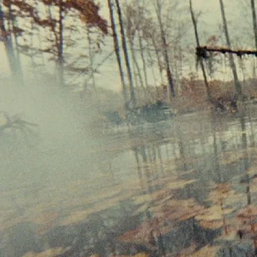 Nefarious Semblance vs. Forest of Frogs
