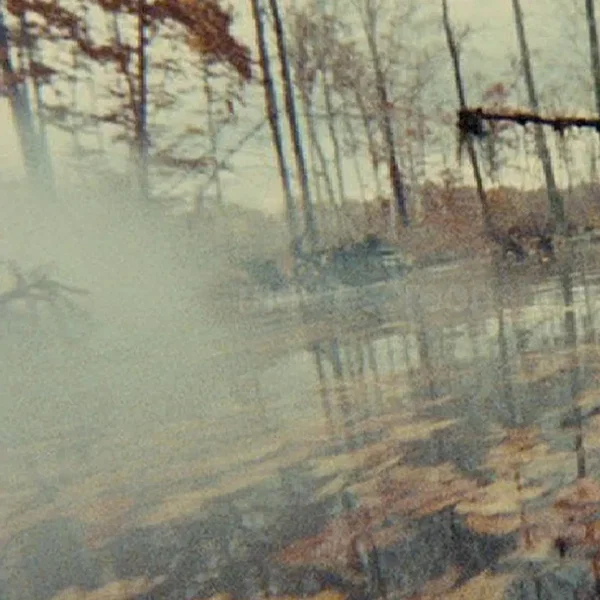 Nefarious Semblance vs. Forest of Frogs