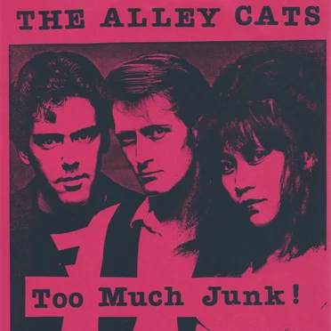Too Much Junk by The Alley Cats - album cover
