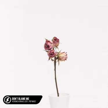 Don’t Blame Me (acoustic)