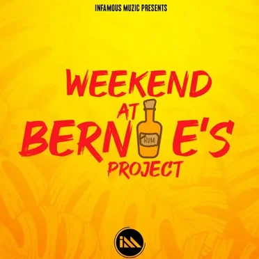 Weekend at Bernies Project by Various Artists - album cover