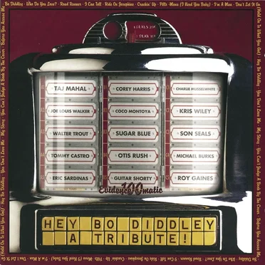 Hey Bo Diddley: A Tribute! by Various Artists - album cover