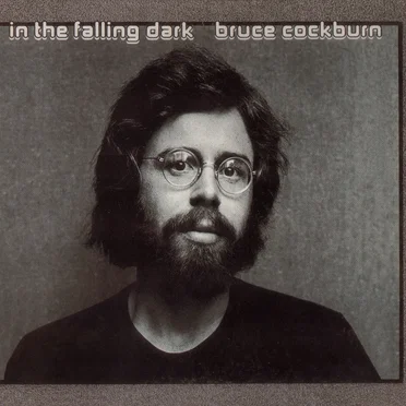 In the Falling Dark by Bruce Cockburn - album cover