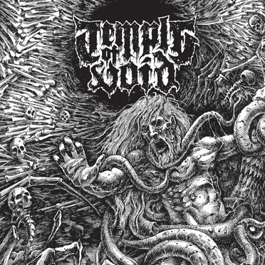 Temple of Void