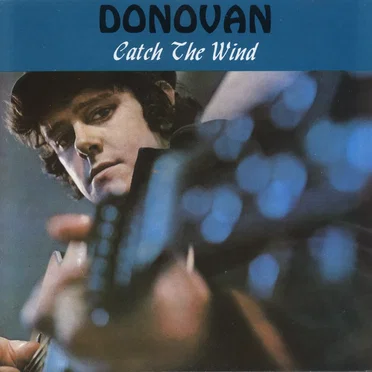 Catch the Wind