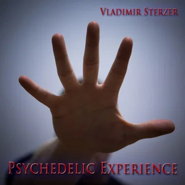 Psychedelic Experience by Vladimir Sterzer - album cover