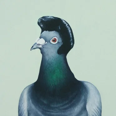 1/2 dove - 1/2 pigeon