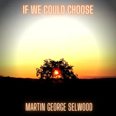 If We Could Choose by Martin George Selwood - album cover