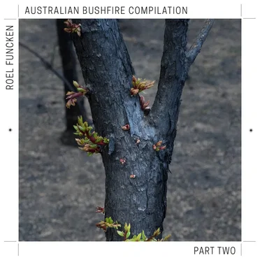 Australian Bushfire Compilation (Part 2) by Various Artists - album cover