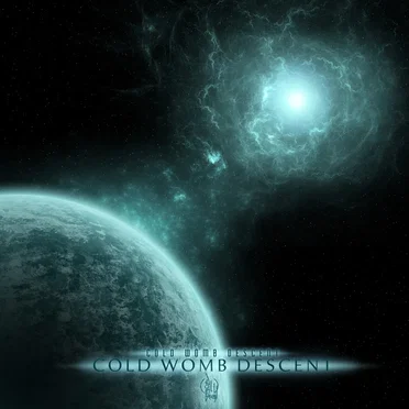 Cold Womb Descent by Cold Womb Descent - album cover