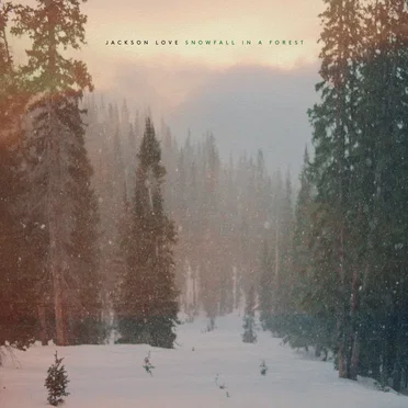 Snowfall in a Forest by Jackson Love - album cover