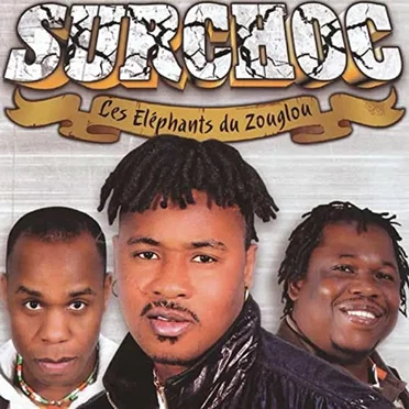 Les Eléphants Du Zouglou