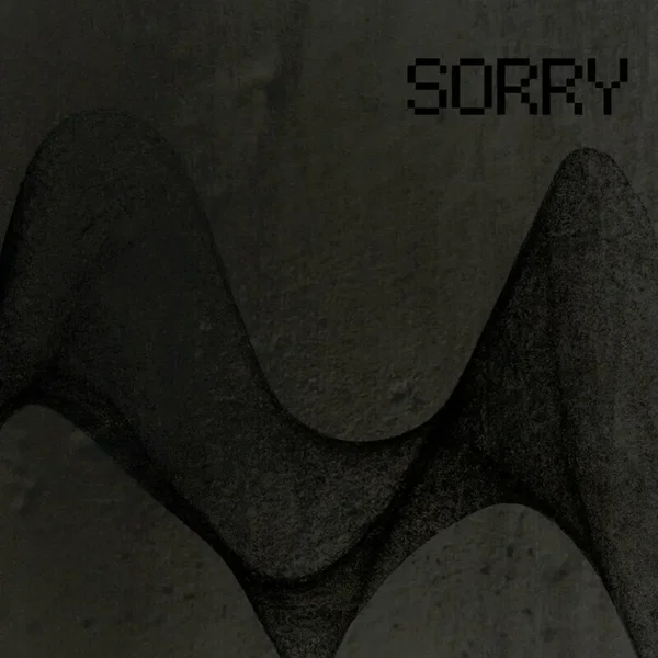 Sorry (Digital Underground)