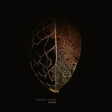 Abroad by Francesco Le Metre - album cover