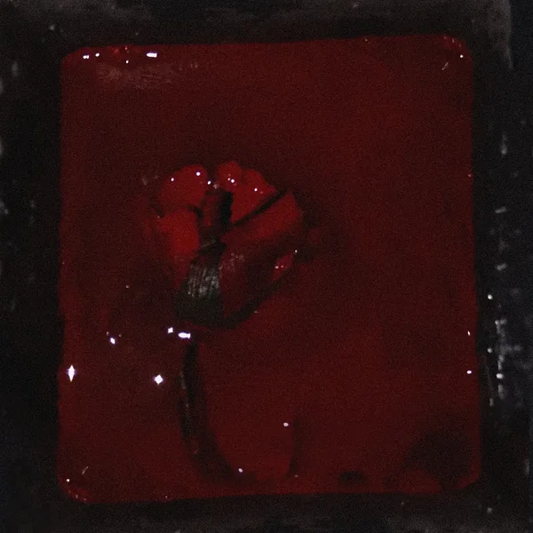 Velvet Room
